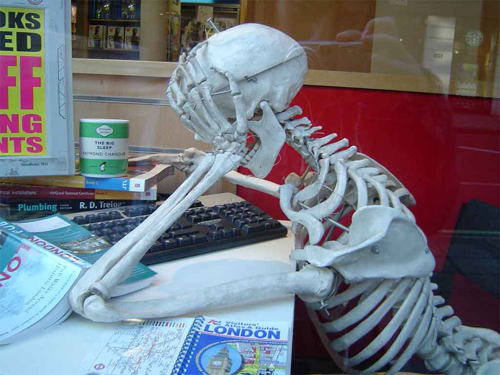 Student skeleton part 2